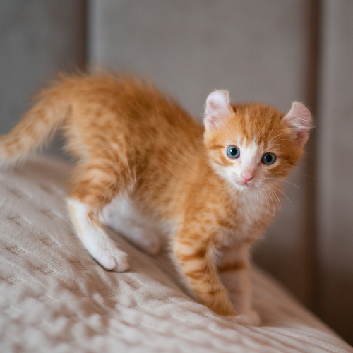 Photo #14055721