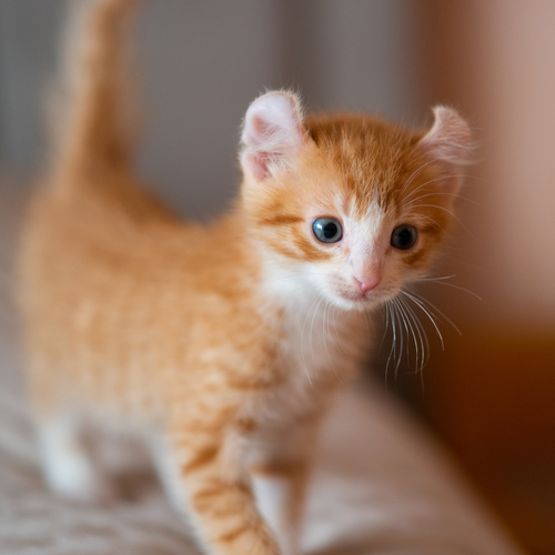 Photo #14055722