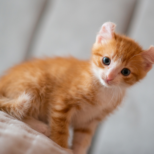 Photo #14055723