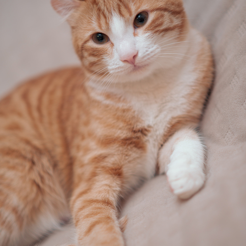 Photo #14055724