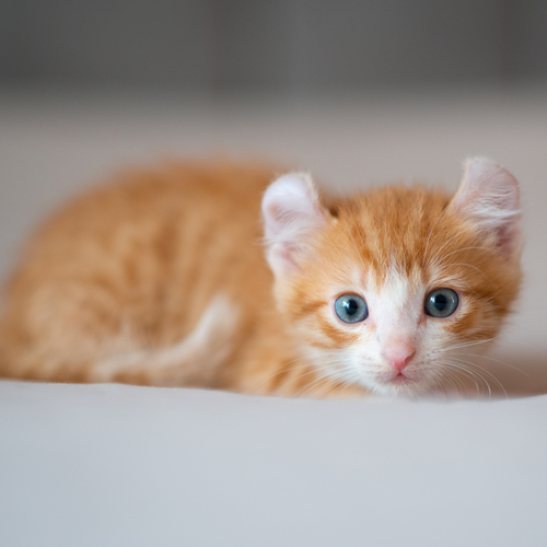 Photo #14055725