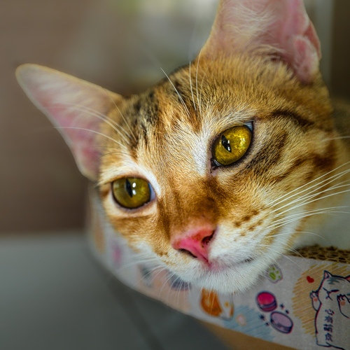 Photo #14055731