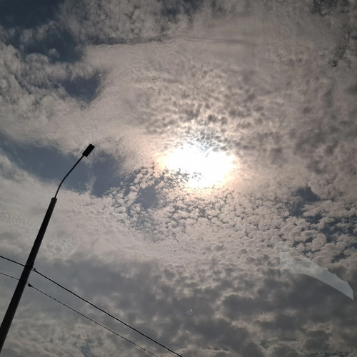 Photo #14055802