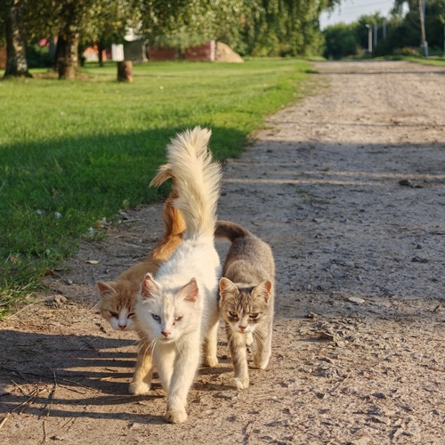 Photo #14055919