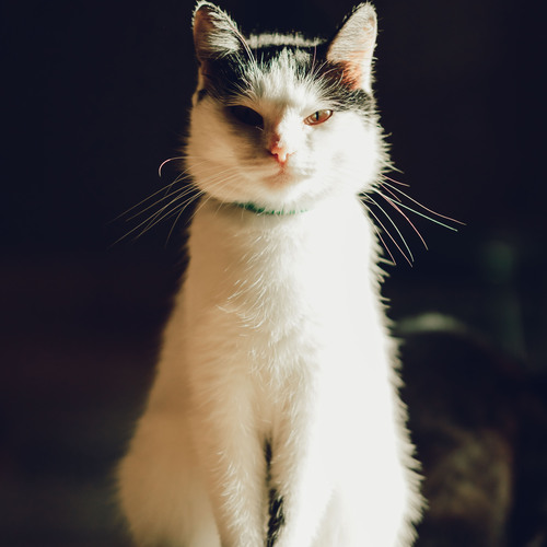 Photo #14055963