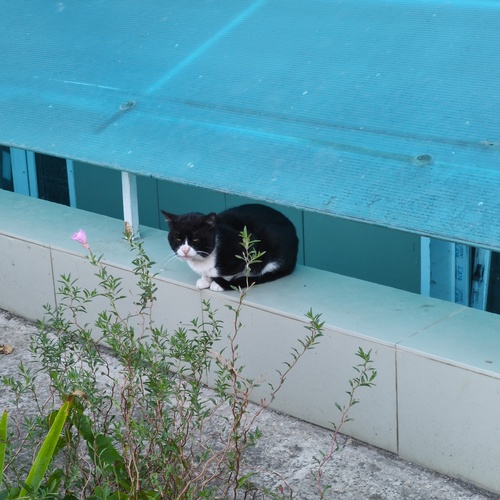 Photo #14055986