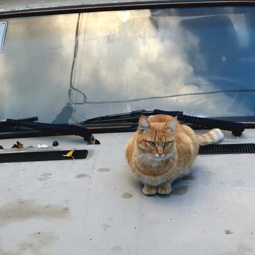 Photo #14056005