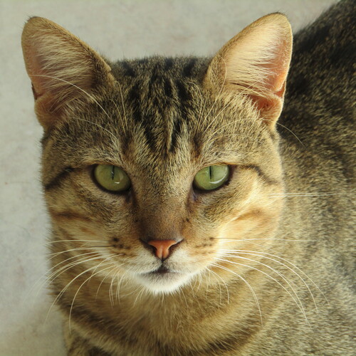 Photo #14056047
