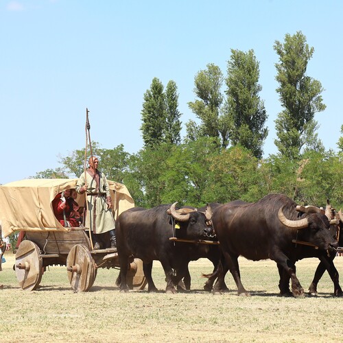 Photo #14056057