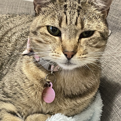 Photo #14056067