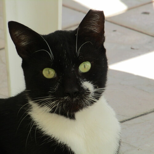 Photo #14056095