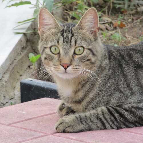 Photo #14056114