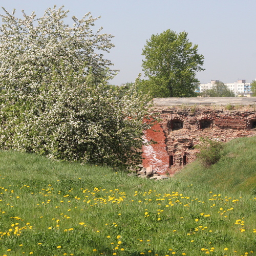 Photo #14056242