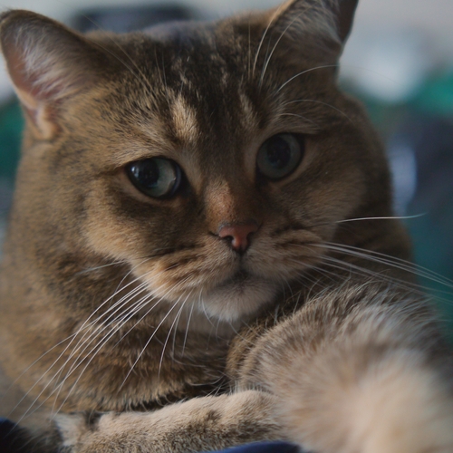 Photo #14056316