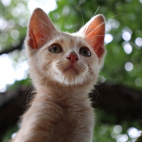 Photo #14056320