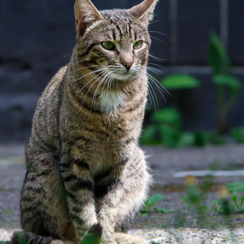 Photo #14056333