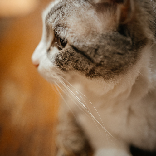 Photo #14056398
