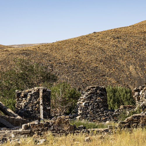 Photo #14056444
