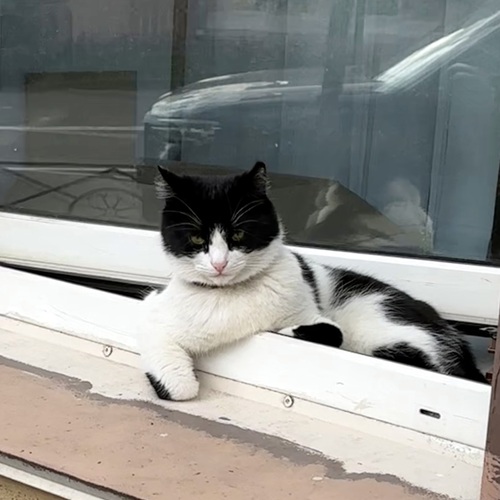 Photo #14056453