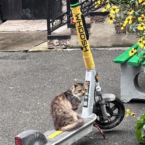 Photo #14056455