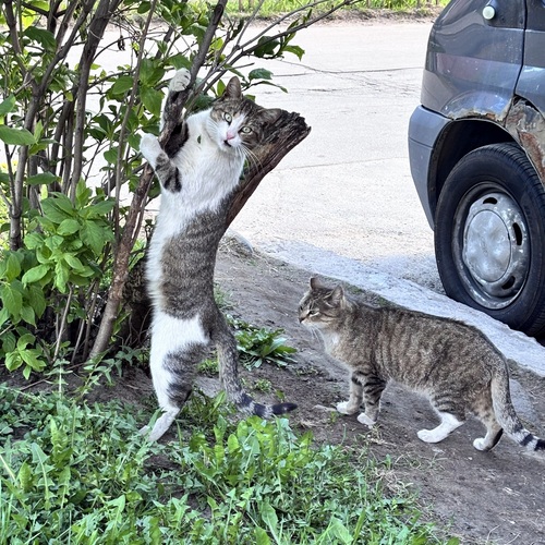 Photo #14056458