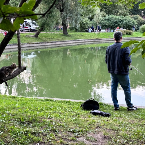 Photo #14056459