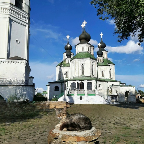 Photo #14056518