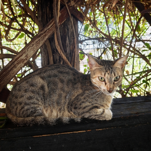 Photo #14056559