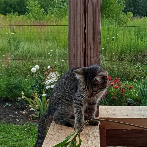 Photo #14056575