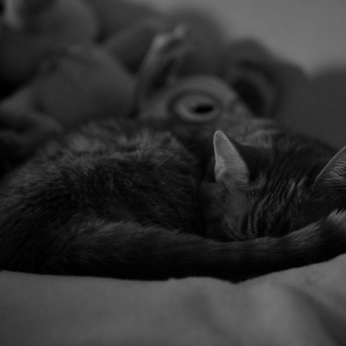 Photo #14056636