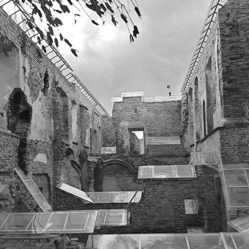 Photo #14056669