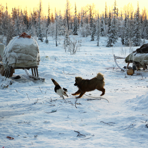Photo #14056673