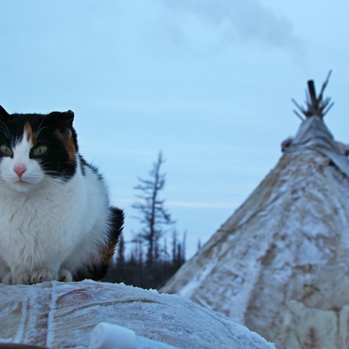 Photo #14056690