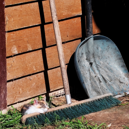 Photo #14056692