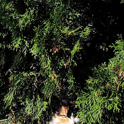 Photo #14056698