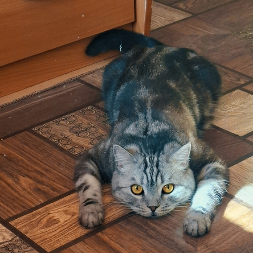 Photo #14056719