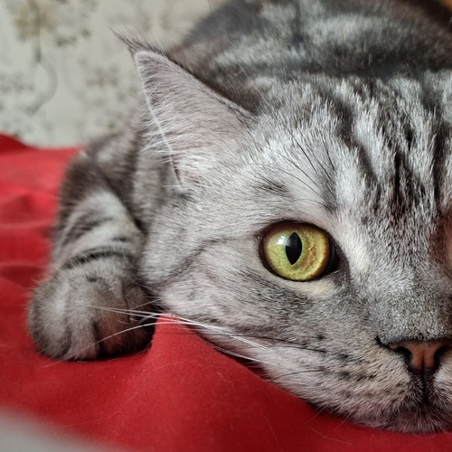 Photo #14056720