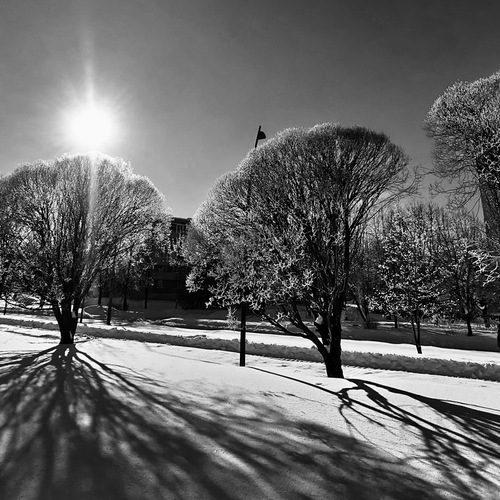 Photo #14056732