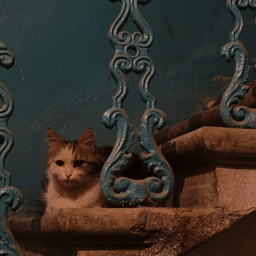 Photo #14056733