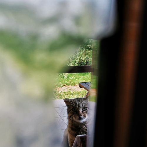 Photo #14056817