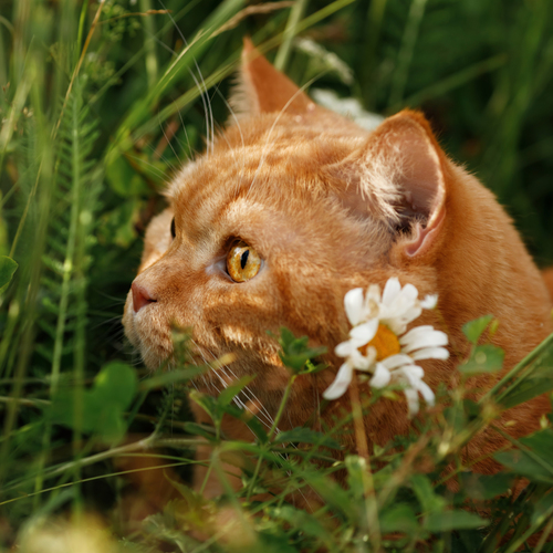 Photo #14056839