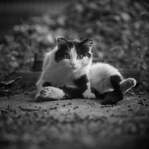 Photo #14056847