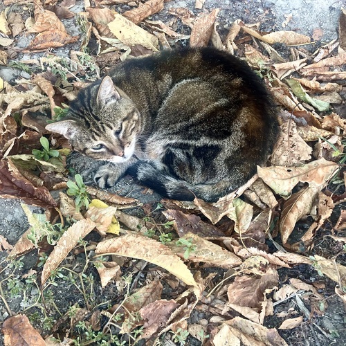 Photo #14056854