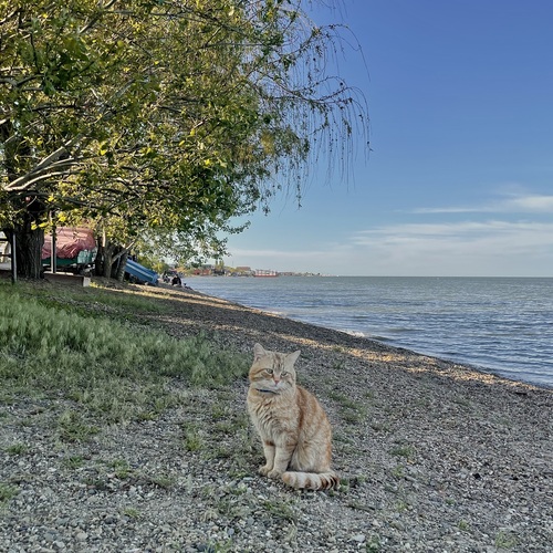 Photo #14056865