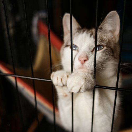 Photo #14056878