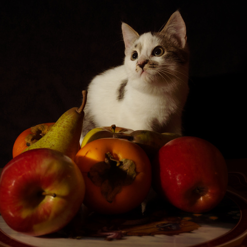 Photo #14056882