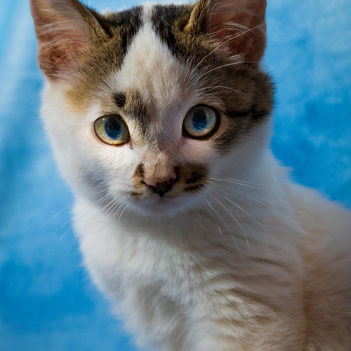 Photo #14056883