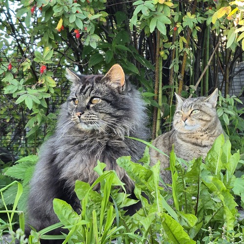 Photo #14056947