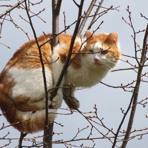 Photo #14056955