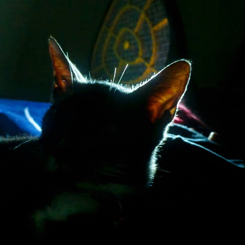 Photo #14057010